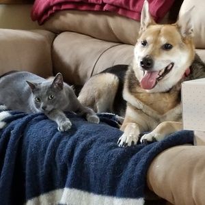 Smoke Free - Pet Friendly Home